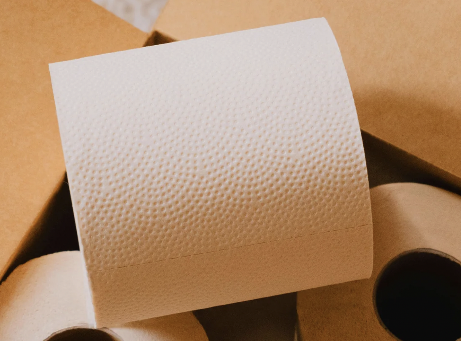 Bamboo Toilet Paper